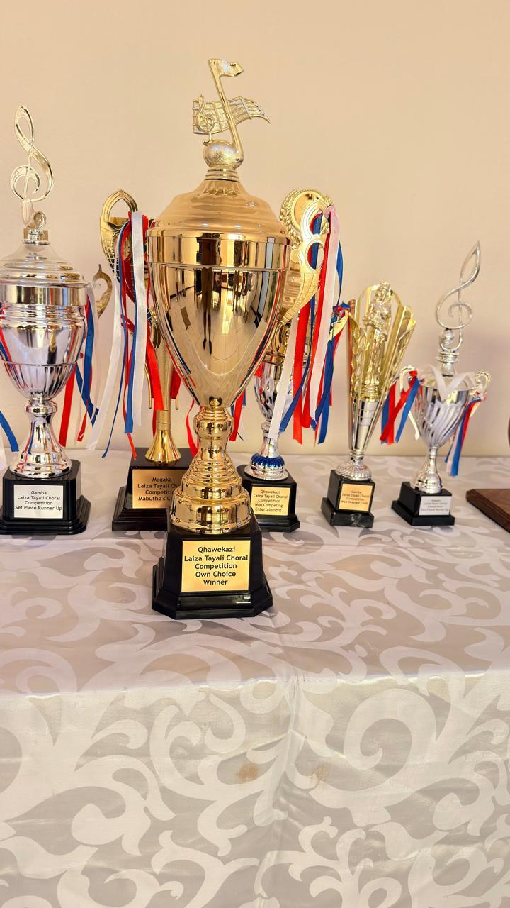 Gold and silver trophies with ribbons on a table, the Own Choice Winner cup in front